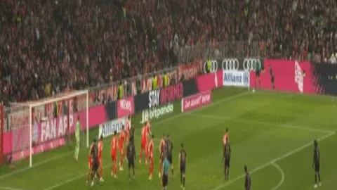 kaiyun·开云（中国）